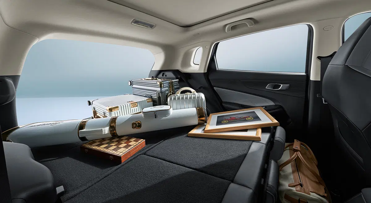 CS55 Plus PHEV Galería 12